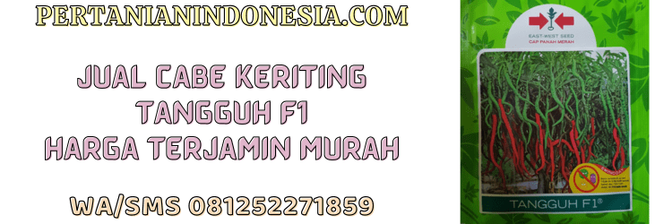 jual,murah,terjangkau,toko pertanian terdekat,pertanian indonesia